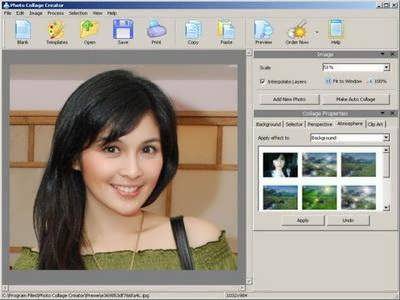 AMS Software Photo Collage Creator 3.85