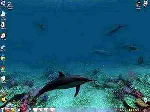 Dolphins 3D Screensaver
