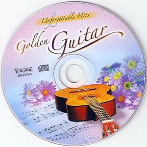 Unforgettable Hits Golden Guitar (2007)